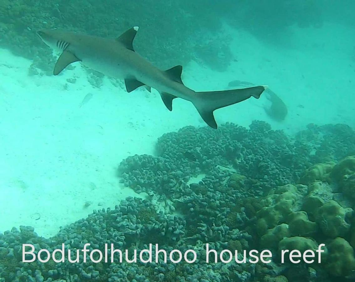 Surfretreat Hotell Bodufolhudhoo Eksteriør bilde