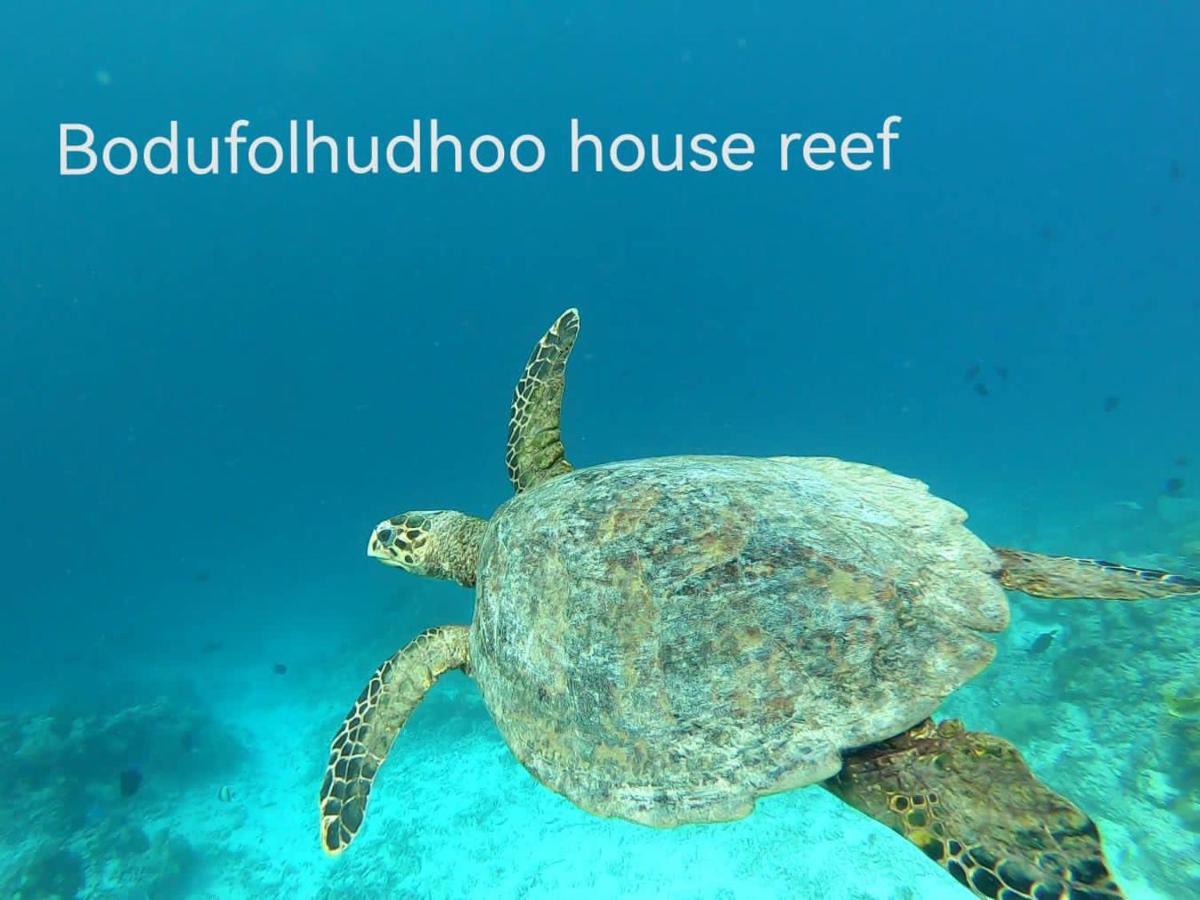 Surfretreat Hotell Bodufolhudhoo Eksteriør bilde