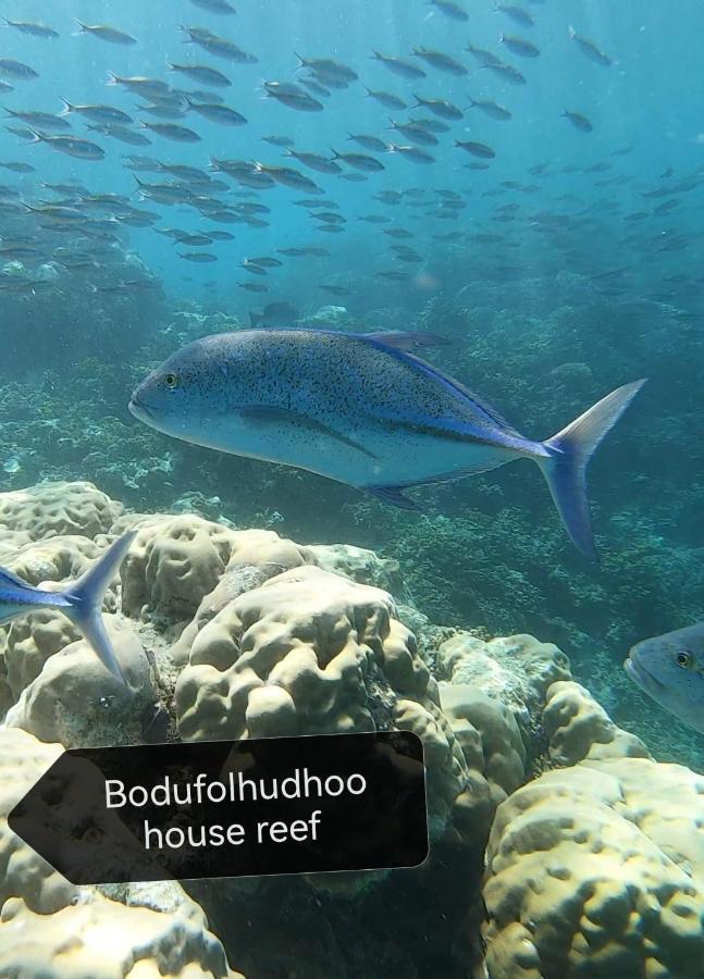 Surfretreat Hotell Bodufolhudhoo Eksteriør bilde
